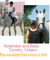 November and her pretty standardbred Beau