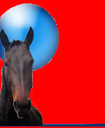 Standardbred horse fan club causes