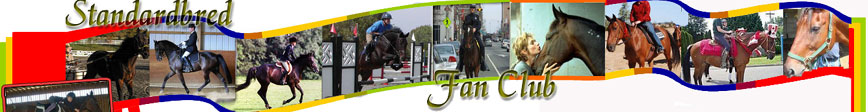 train a standardbred horse to canter