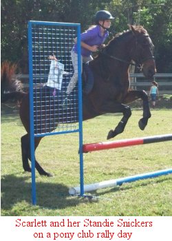 Scarlet jumping Snickers