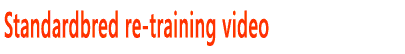 Standardbred training video - retraining the pacer