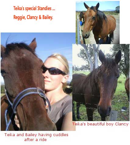 Teika with her cute Standardbred horses!