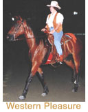 Western Please riding