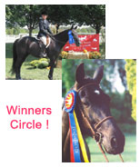 Standardbreds are Winners often too!