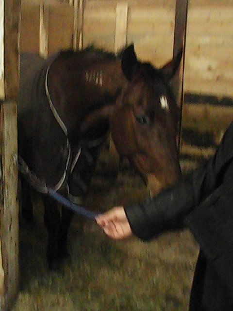 Star at the racetrack