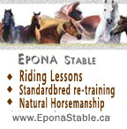 Horseback riding lessons near Vancouver
