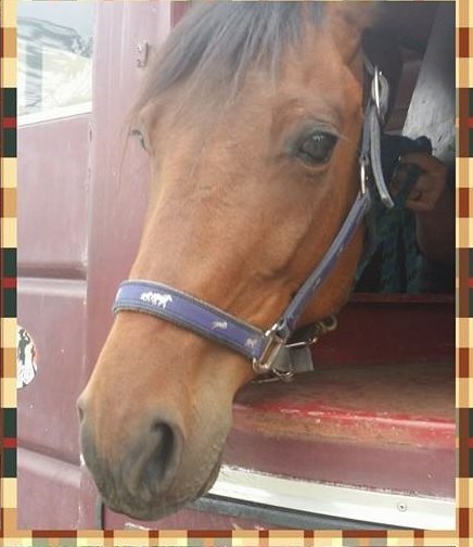 Name a horse contest